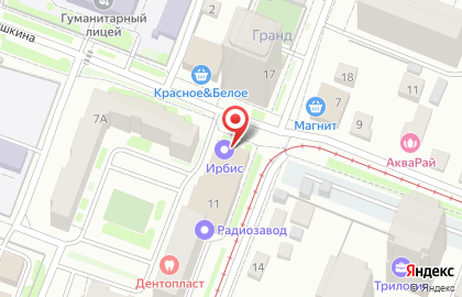 Торгово-монтажная компания Безопасность+ на улице Л.Толстого на карте