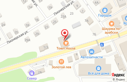 Три слона в Новосибирске на карте