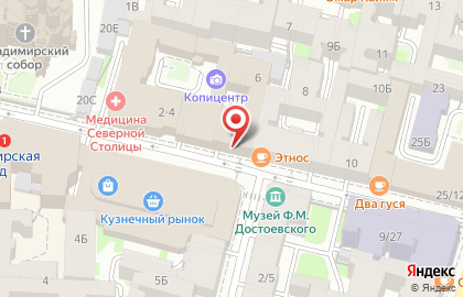 Магазин медиапродукции Фантазия в Кузнечном переулке на карте