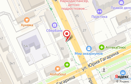 Туристическая компания Спутник на проспекте Ленина на карте