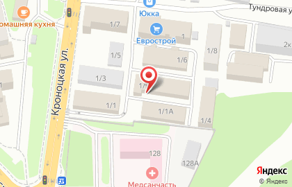 Невский стиль в Петропавловске-Камчатском на карте