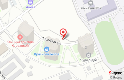 Чехов Прибор Сервис на карте