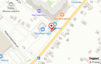 Цветочный салон Цветут на Трудовой улице на карте