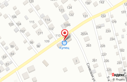 Магазин разливного пива Купец на Берёзовой улице на карте