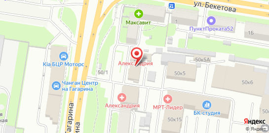 Медицинская клиника Александрия на проспекте Гагарина на карте