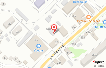 Сервисный центр Левша на улице Ленина на карте