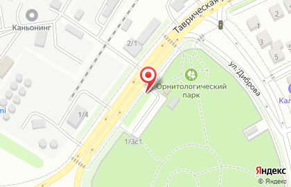 Gracia на Таврической улице на карте