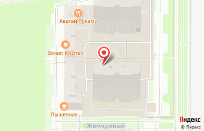 Чистотроник на карте