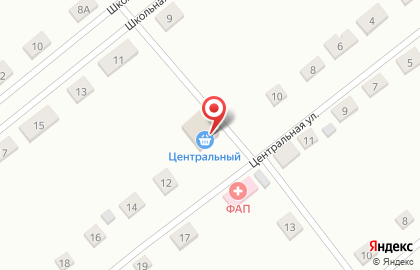 Магазин продуктов Центральный на Центральной улице на карте
