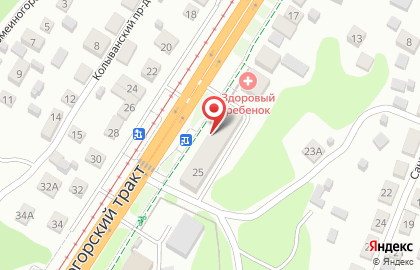 Магазин продуктов на Змеиногорском тракте на карте