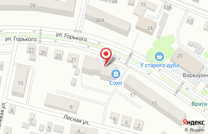 Салон Сохо на улице Горького на карте