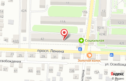 Ветеринарный центр на проспекте Ленина на карте