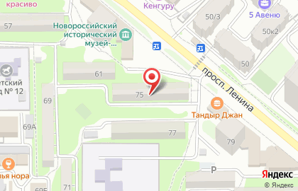 Автоматизированный пункт выдачи товаров PickPoint на проспекте Ленина на карте
