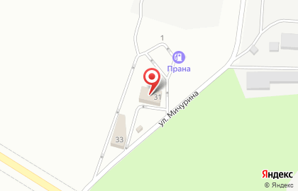 ООО Арагон на улице Мичурина на карте