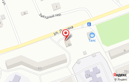 Магазин разливного пива Пивной причал на улице Ленина на карте