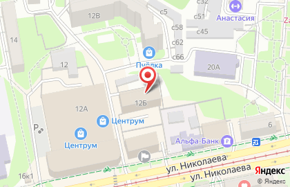 Сосна на улице Николаева на карте