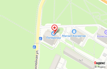 Универсам Пятёрочка на Московском шоссе, 63 на карте