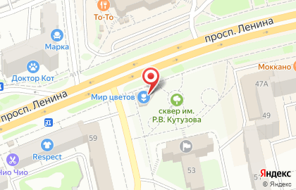 Салон Мир цветов на проспекте Ленина на карте