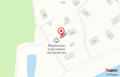 Медянское участковое лесничество на карте