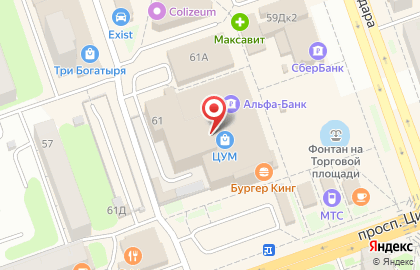 Центральный универмаг в Нижнем Новгороде на карте