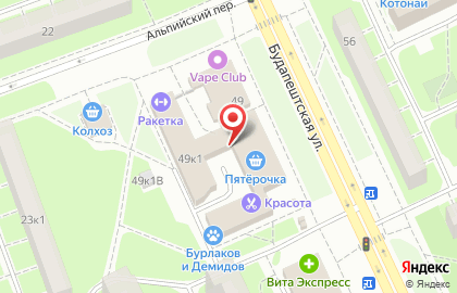 Лика на Будапештской улице на карте