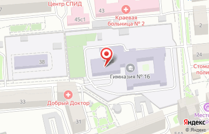 Федерация по каратэ киокушинкай Мацушима на улице Урицкого на карте