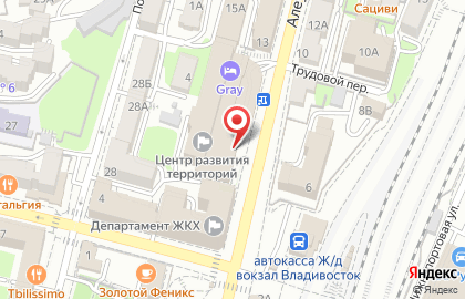Дальневосточный центр производительности в Фрунзенском районе на карте