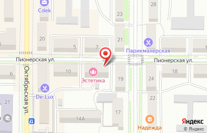 Магазин зоотоваров Всякая всячина на Пионерской улице на карте