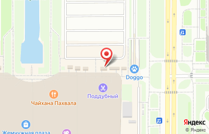 Бистро Forest Camp на карте