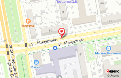 Метро на улице Мичурина на карте