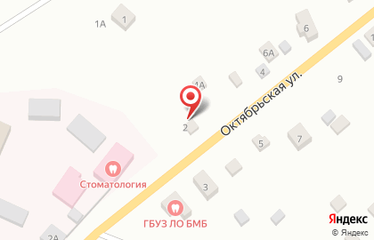 Бюро судебно-медицинской экспертизы Ленинградской области Бокситогорский филиал на карте
