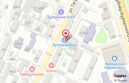 Живое пиво на улице Гагарина на карте