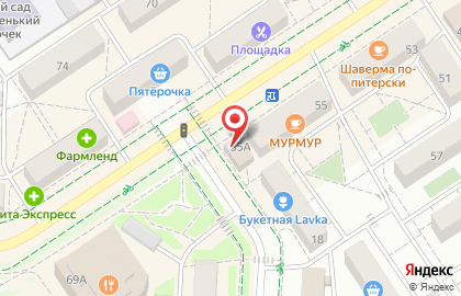 Магазин разливного пива Пена на улице Ленина на карте