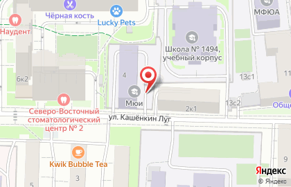 МЮИ на улице Кашёнкин Луг на карте
