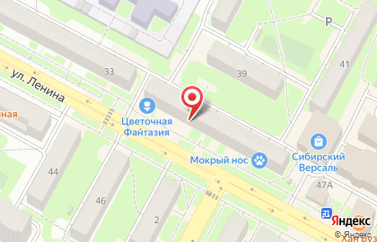 Фирменный магазин по продаже и доставке тортов и пирожных Мастер Шоколад на улице Ленина на карте