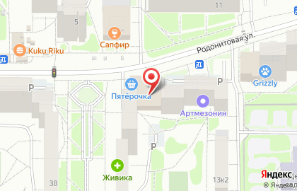Пятерочка на Ботанической на карте