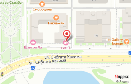 SPA-салон Lotus на Чистопольской улице на карте