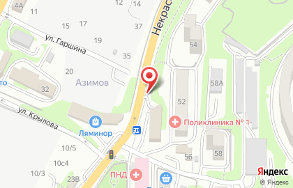 Точка продажи пян-се Синэргос на Некрасовской улице на карте