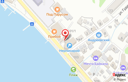 Нерпинарий, ООО Аквариум Байкальской нерпы на улице Горького на карте