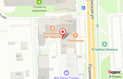 Бюро переводов EngProfi на Пушкинской улице на карте