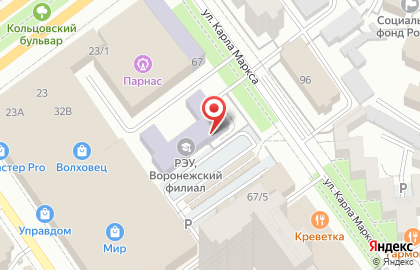 Российский экономический университет им. Г.В. Плеханова в Воронеже на карте