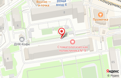 Питбуль на улице Кошурникова на карте