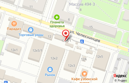 Зоомагазин Пушок на улице Челюскинцев на карте