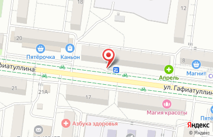 Цветочный салон на улице Гафиатуллина на карте