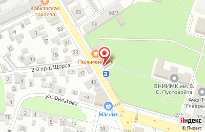 Магазин фастфудной продукции Пирожки на Передовой на карте