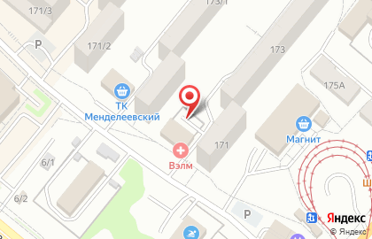 Софья на улице Менделеева на карте