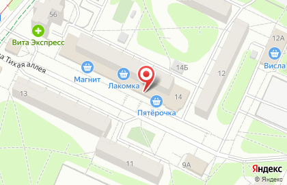 Дискаунтер Пятёрочка на Тихой улице в Нижнекамске на карте