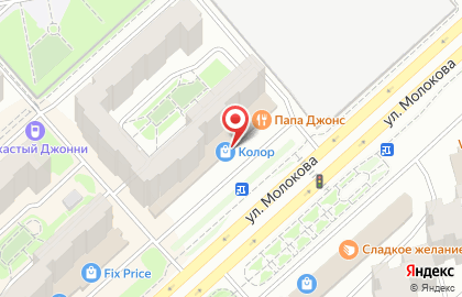 Магазин лакокрасочных покрытий и отделочных материалов Колор Студия на улице Молокова на карте