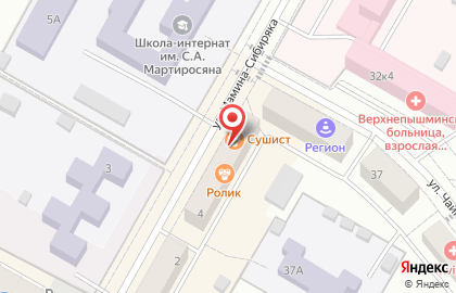 Магазин мясной продукции Ариант на улице Мамина-Сибиряка на карте