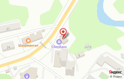 Магазин автотоваров и запчастей АвтоПаскер на улице Академика Янгеля на карте